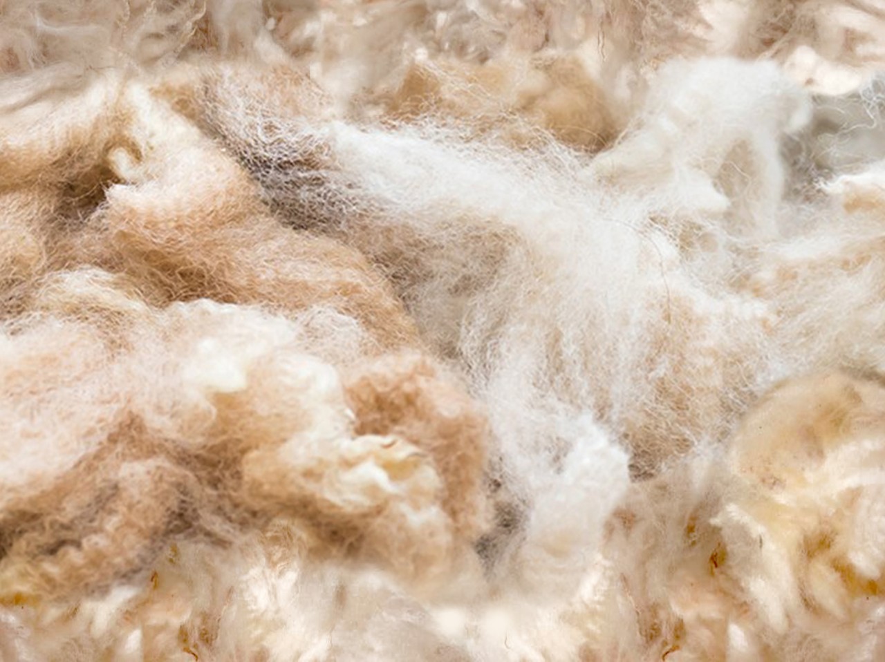 Schlüttli Plain Organic Merino Virgin Wool Natural Reiff Reläx 20170 kbT 